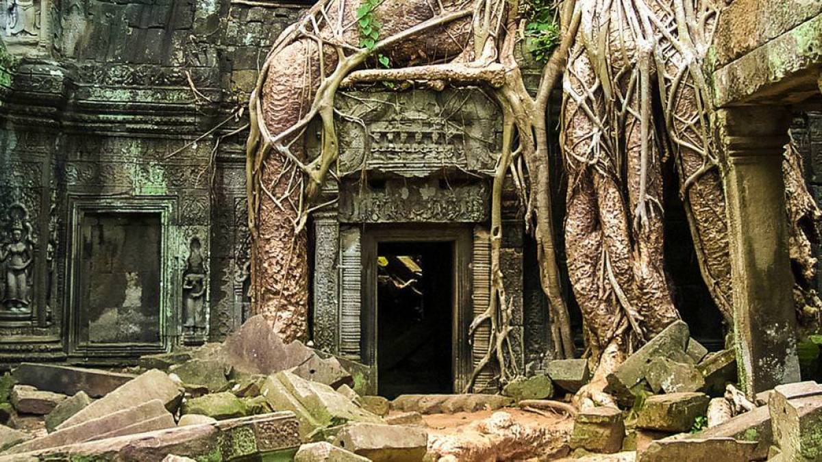 Ta Prohm in Angkor |  Chamleon
