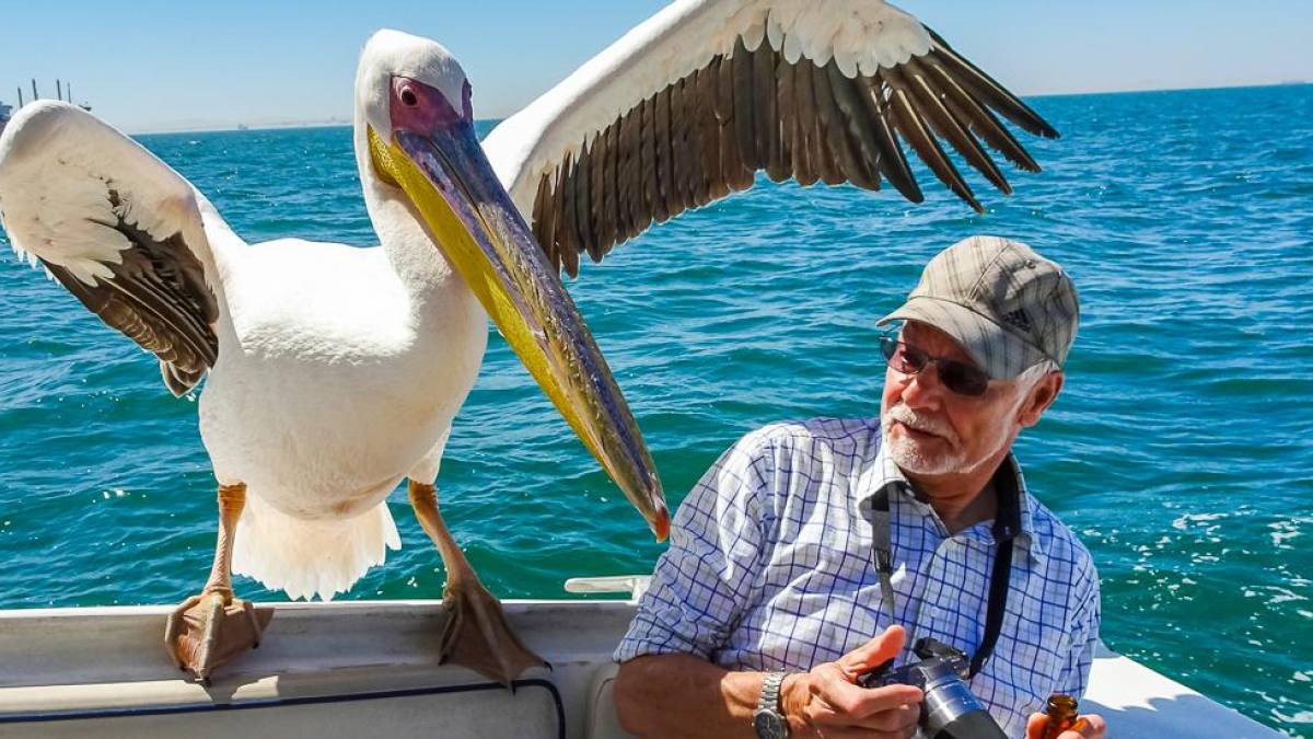 Blinder Passagier |  Peter Streitberger / Chamleon