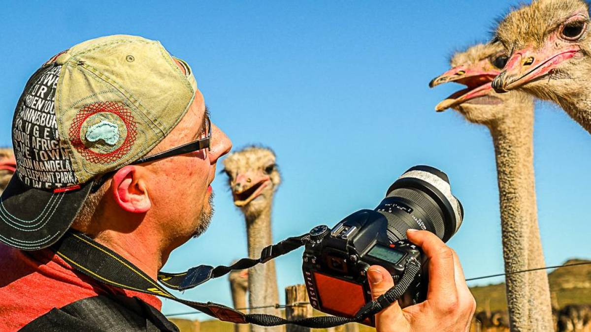 Neugierige Straue |  Silvio Engelhardt / Chamleon