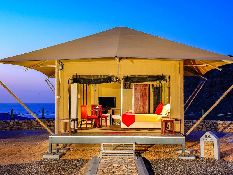 Ras Al Jinz Turtle Reserve Hotel |  Ras Al Jinz Turtle Reserve Hotel / Chamleon