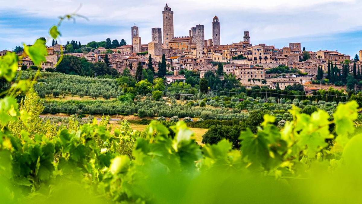 Blick ber die Weinberge nach San Gimignano |  Emran Yousof, Unsplash / Chamleon