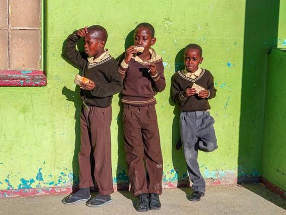 Pausenbrot in der Sonne |  Stefanie Steinhilber / Chamleon