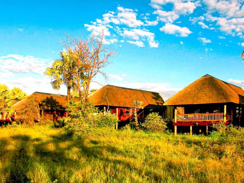 Nata Lodge |  Nata Lodge / Chamleon