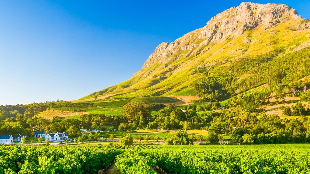 Weinanbau in Franschhoek |  Dirk Bleyer / Chamleon