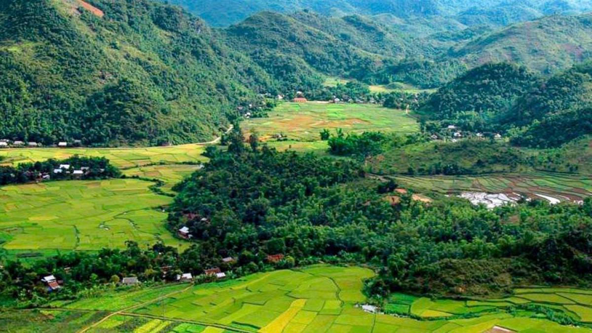 Das Mai Chau Tal |  Chamleon