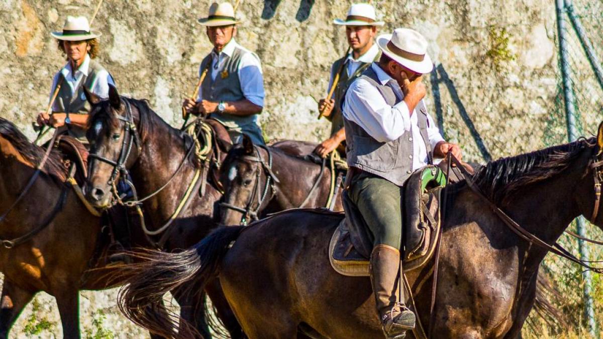 Cowboys der Toskana auf Maremma-Pferden |  Gadis Tourist Service Italia / Chamleon