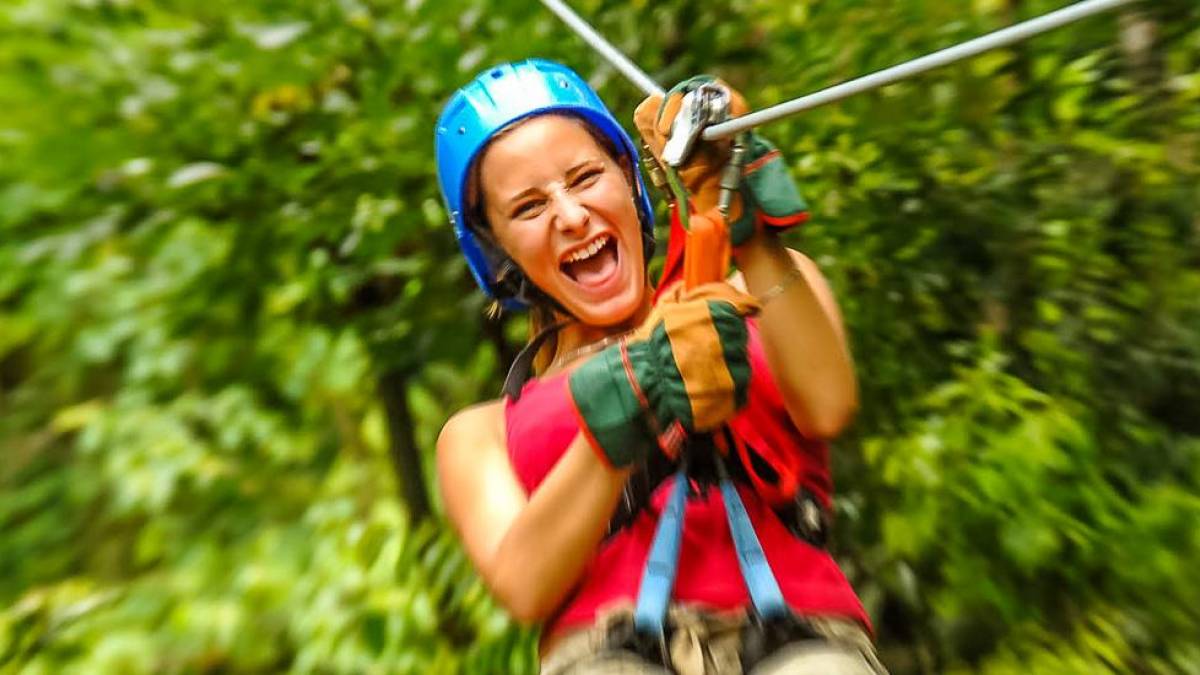 Rasante Fahrt durch die Baumkronen |  Amadeus Travel Agency / Chamleon