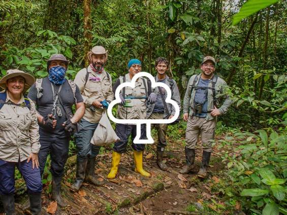 Wissenschaftler bei der Datenerfassung im Regenwald |  Gustavo Pazmio / Chamleon