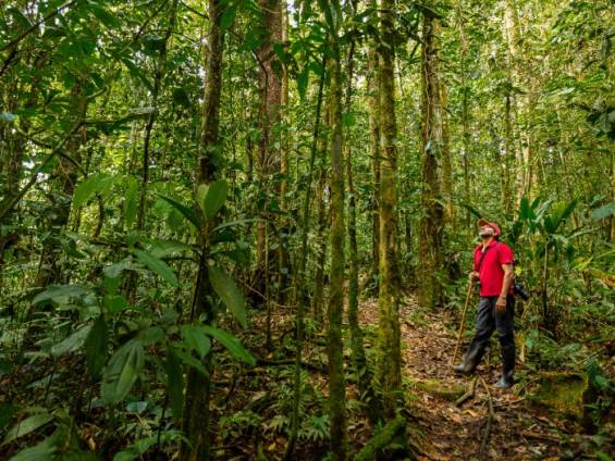 Dem Wachsen & Gedeihen zuschauen |  Alfonso Tandazo / Chamleon