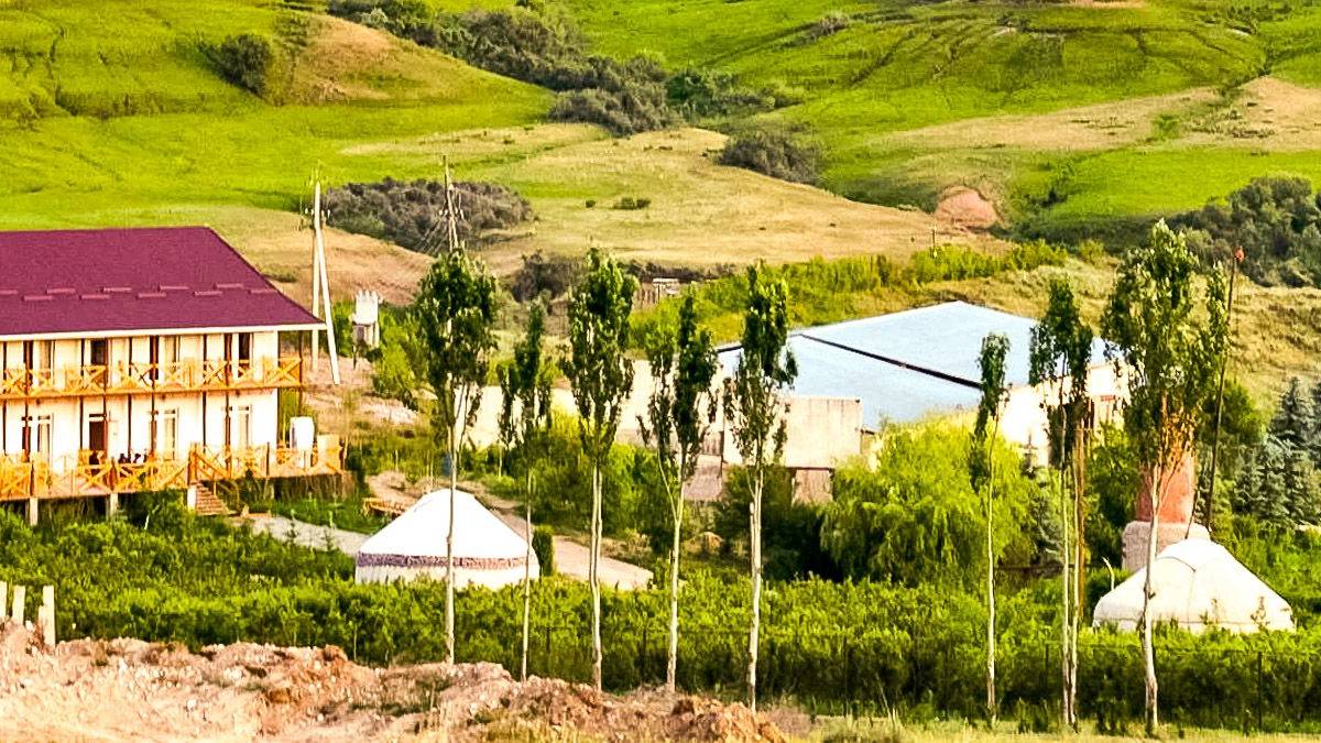 Pferdefarm Reina Kench |  Reina Kench / Chamleon