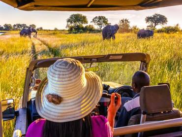Elefanten beobachten am Flussufer in Caprivi, Namibia