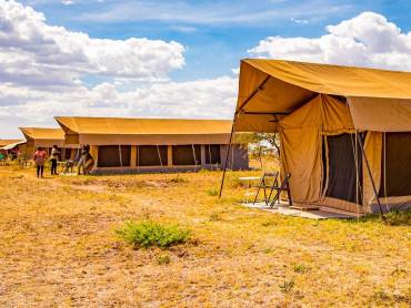 Serengeti Wildebeest Camp |  Zara Tours / Chamleon