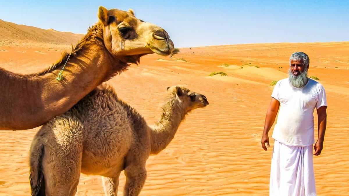 Beduine mit seinen Kamelen |  Maja Lamme / Chamleon