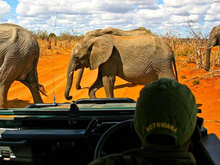 Begegnung der dicken Art |  Dirk Schfer / Chamleon