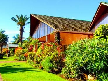 Hotel Otai |  Otai / Chamleon