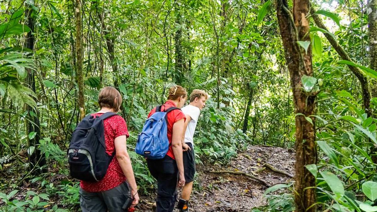 Wanderung durch den Regenwald |  Luisa Ceron / Chamleon