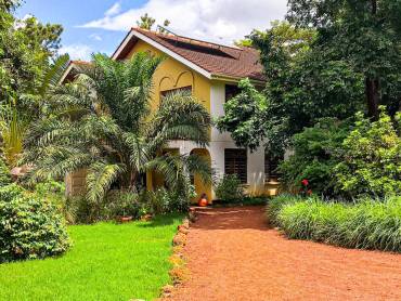 More Than A Drop Gstehaus |  More Than A Drop  / Chamleon