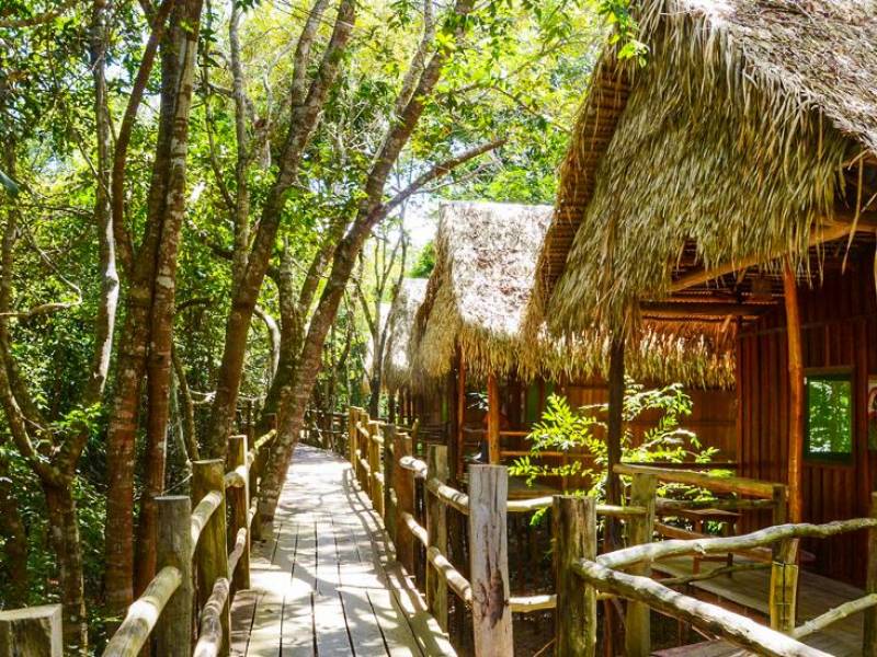 Tariri Amazon Lodge |  Tariri Amazon Lodge / Chamleon