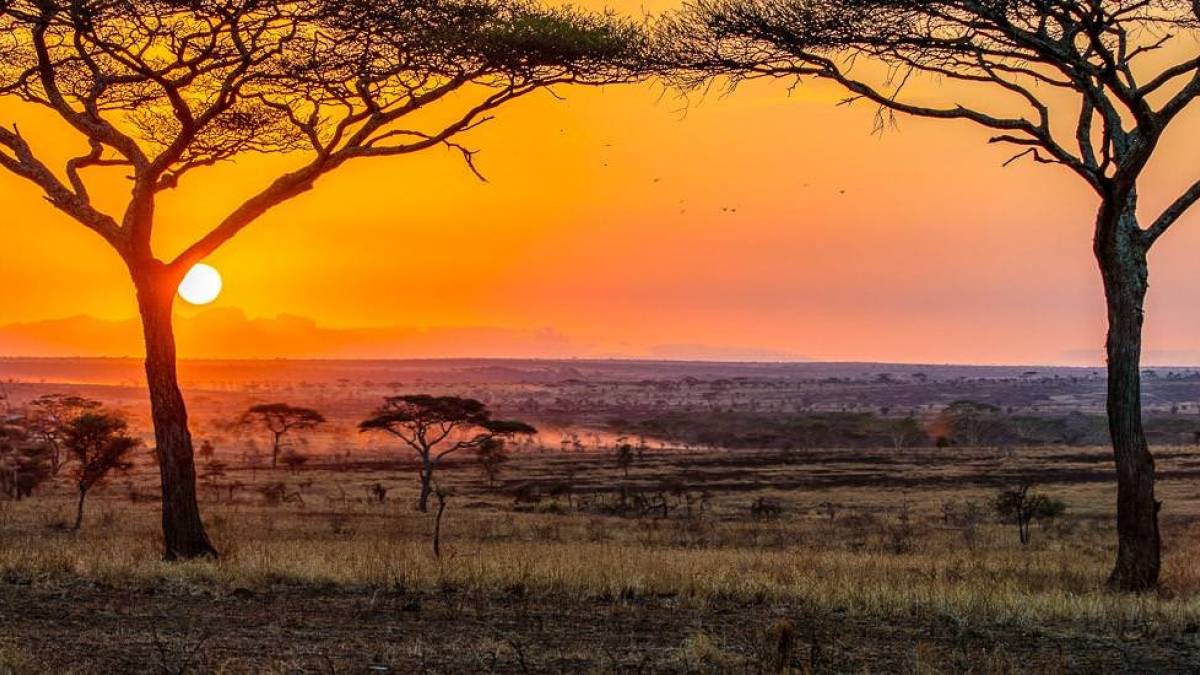 Sonnenaufgang in der Serengeti |  Sebastian Schulze / Chamleon