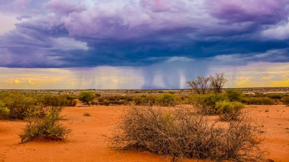 Regen in der Kalahari |  Carsten von Lttwitz, Pack Safari / Chamleon
