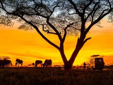 Safari-Jeep im Morgenlicht