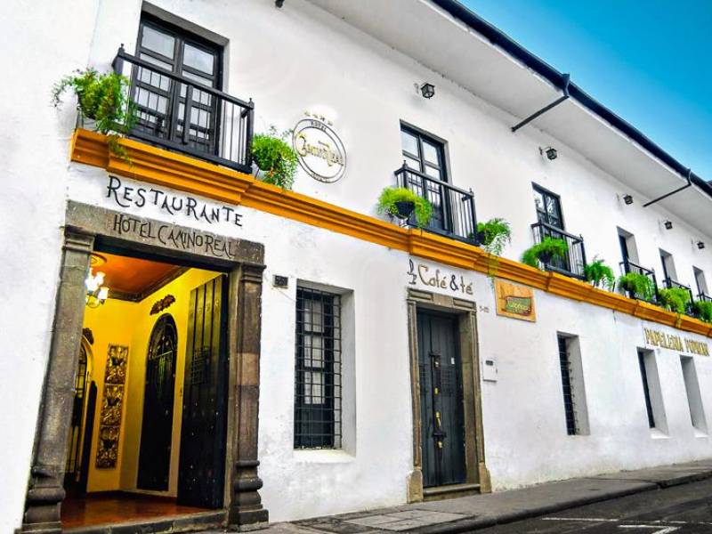 Camino Real |  Camino Real / Chamleon