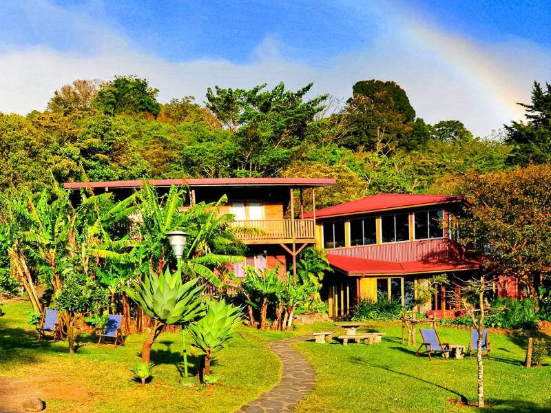 Arco Iris Ecolodge |  Arco Iris Ecolodge / Chamleon
