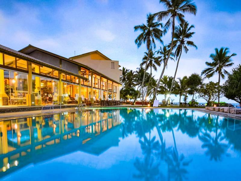 Insight Resort |  Insight Resort / Chamleon