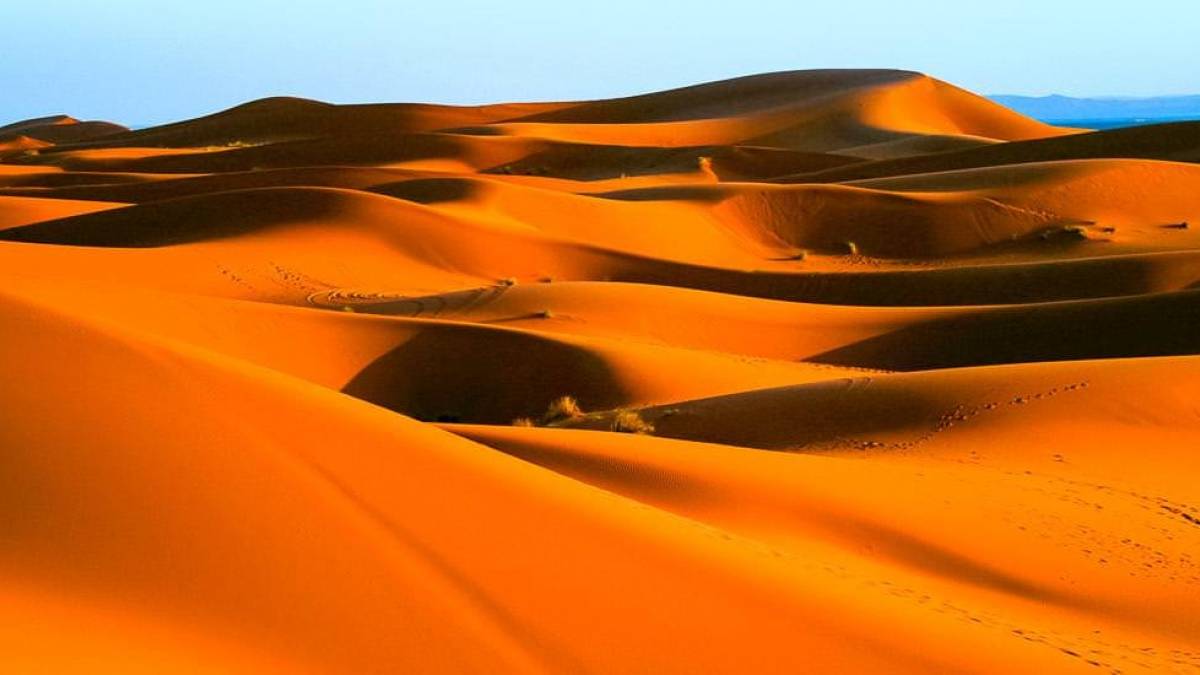 Dnenlandschaft der Sahara |  Neundlinger-Schalleschek / Chamleon