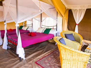 Serengeti Wildebeest Camp |  Zara Tours / Chamleon