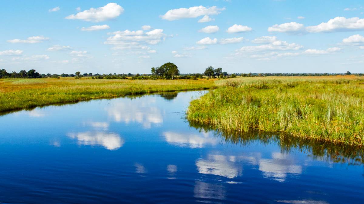 Im Bwabwata Nationalpark |  Jochen Manz / Chamleon