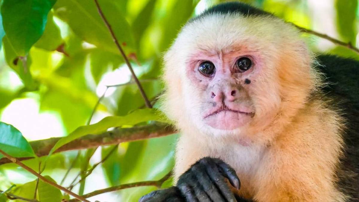 Bin ich nicht schn ? |  Katrin Baumgarten / Chamleon