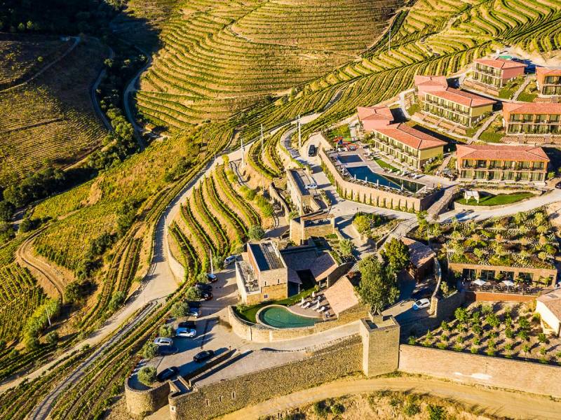 Vila Gal Douro Vineyards |  Hugo Alexandre Jos da Silva Gomes, Vila Gal Douro Vineyards / Chamleon