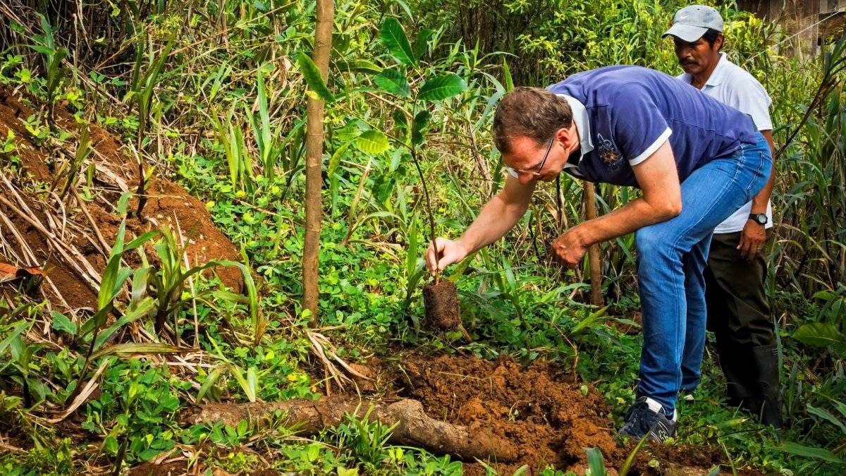 Ingo Lies pflanzt neue Bume |  Alfonso Tandazo, Surtrek / Chamleon
