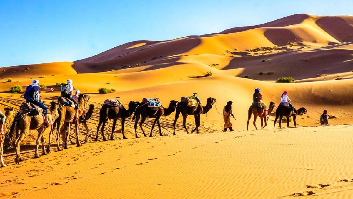Kamelritt durch die Sandberge des Erg Chebbi |  Claudia Exner / Chamleon