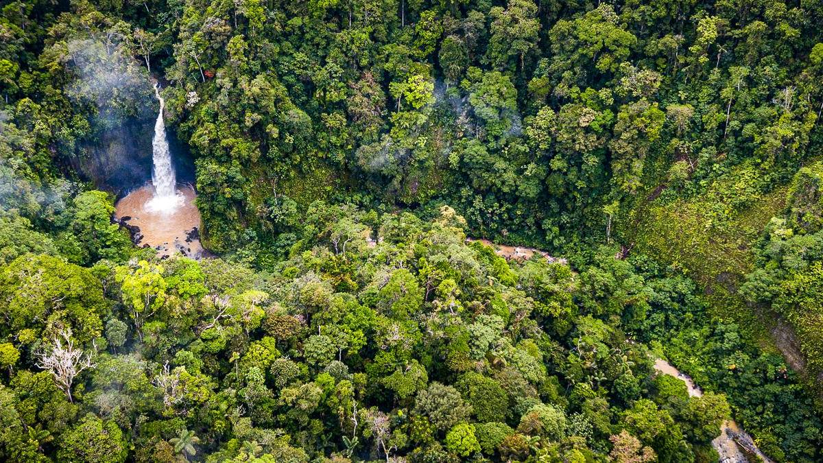 Nebelwald in Costa Rica |  bogdanhoria, iStockphoto.com / Chamleon