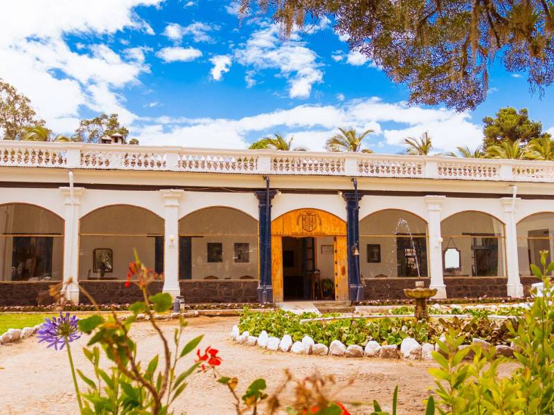 Hacienda Pinsaqu |  Efrain Velasquez, Hacienda Pinsaqu / Chamleon
