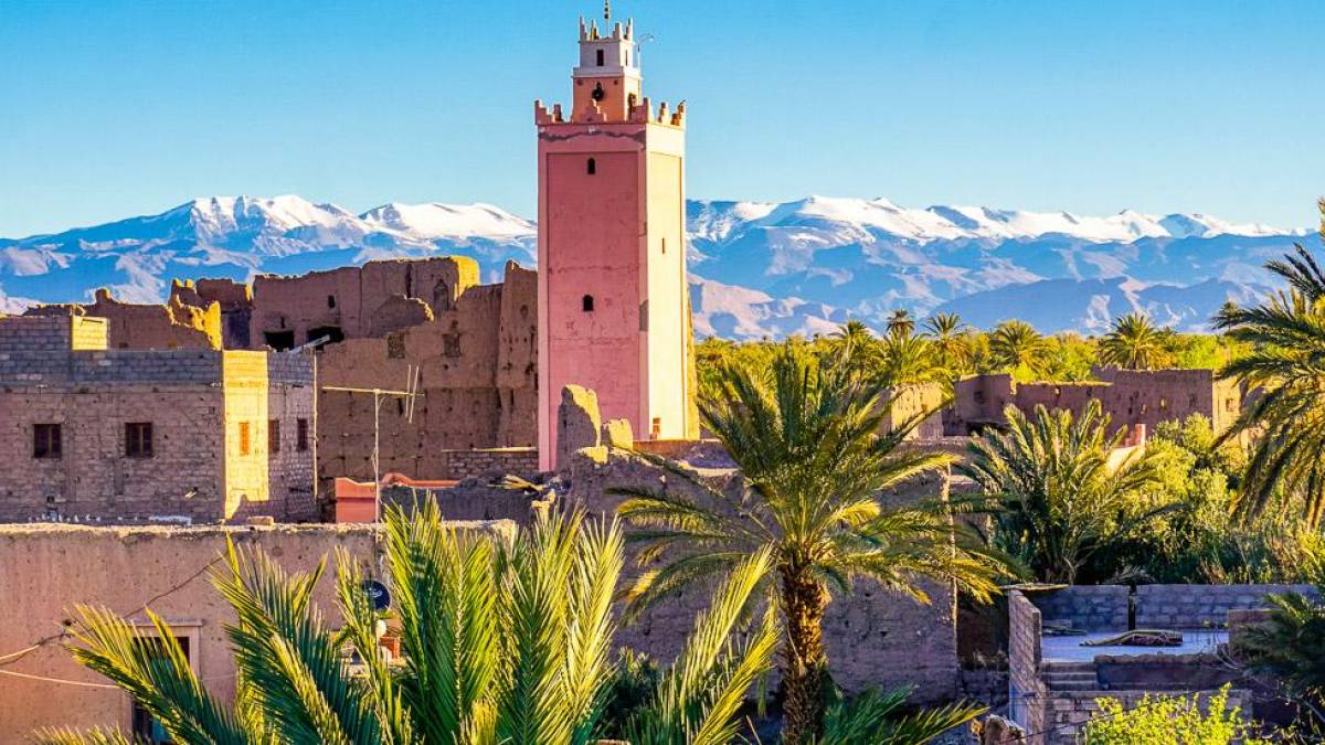 Skoura |  Claudia Exner / Chamleon