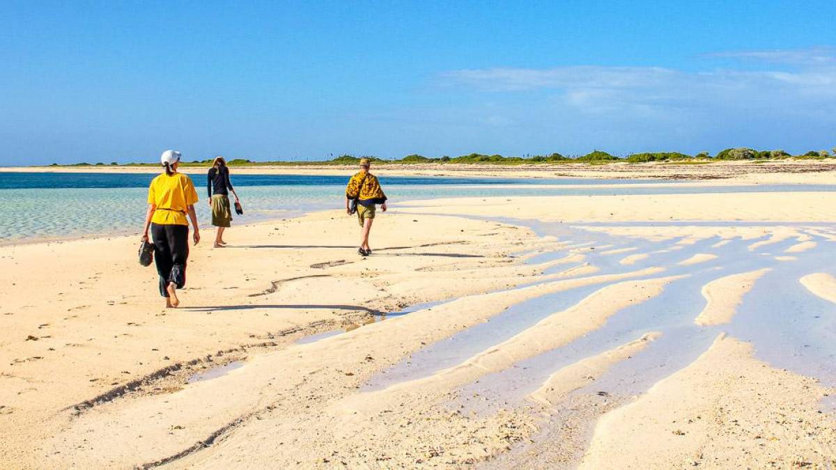 Strand der Vogelinsel Nosy Ve |  Maja Lamme / Chamleon