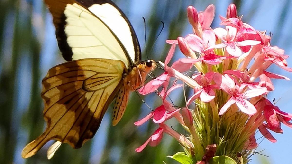 Schn stillhalten |  Simone Steinberg / Chamleon