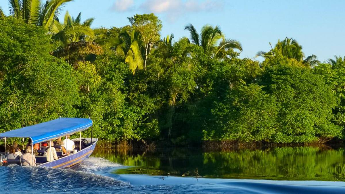 Bootsfahrt im Amazonas-Gebiet |  Ideia Tours / Chamleon