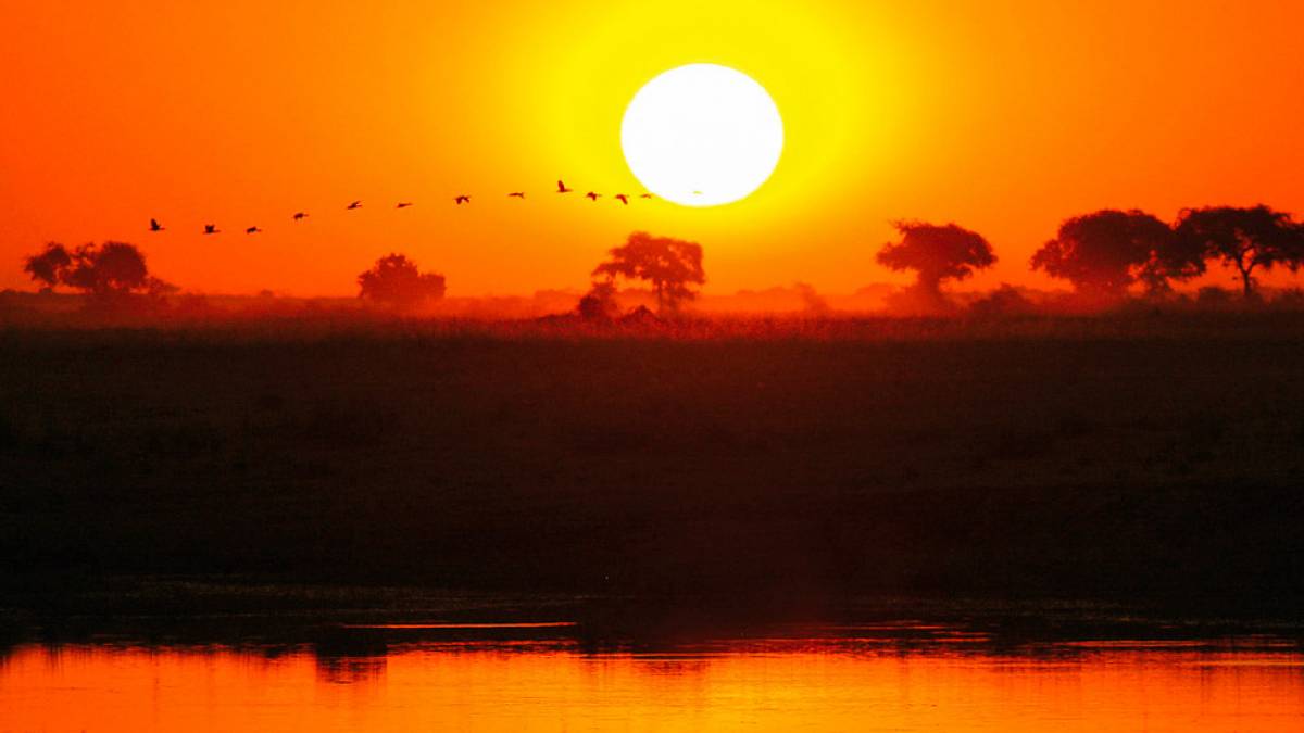 Sonnenuntergang am Chobe |  Brigitte Peters / Chamleon