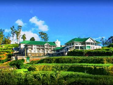 The Blackpool Hotel |  The Blackpool Hotel / Chamleon