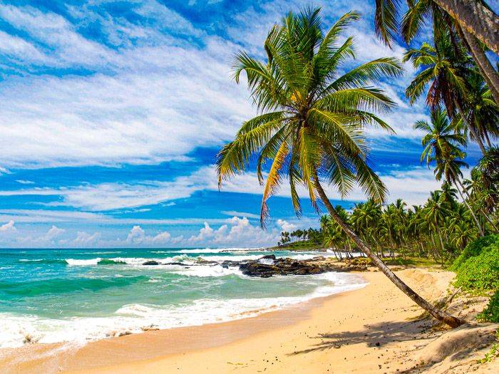 Traum-Strand von Sri Lanka |  Udaya Wijesoma / Chamleon