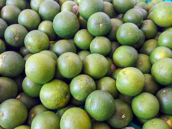 Orangen zur Abschreckung der Elefanten |  NKAR Travels & Tours / Chamleon