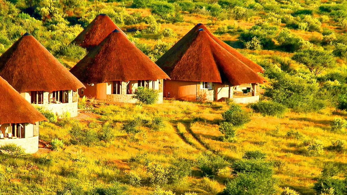 Onjala Lodge |  Peter Pack, Pack Safari / Chamleon