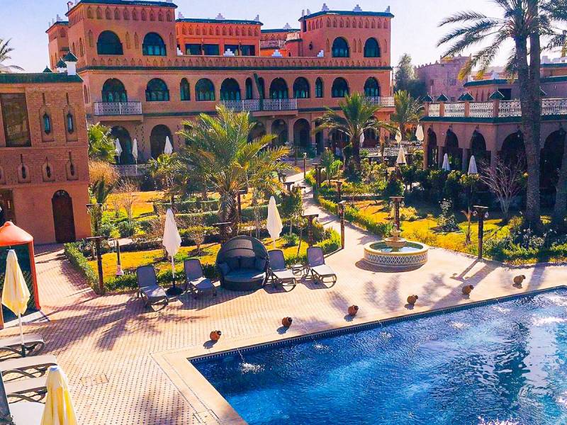 Oz Palace |  Oz Palace / Chamleon