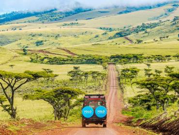 Fahrt durch den Ngorongoro-Krater