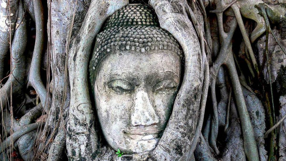 Zeitlos |  Heinz Peter Schneider / Chamleon