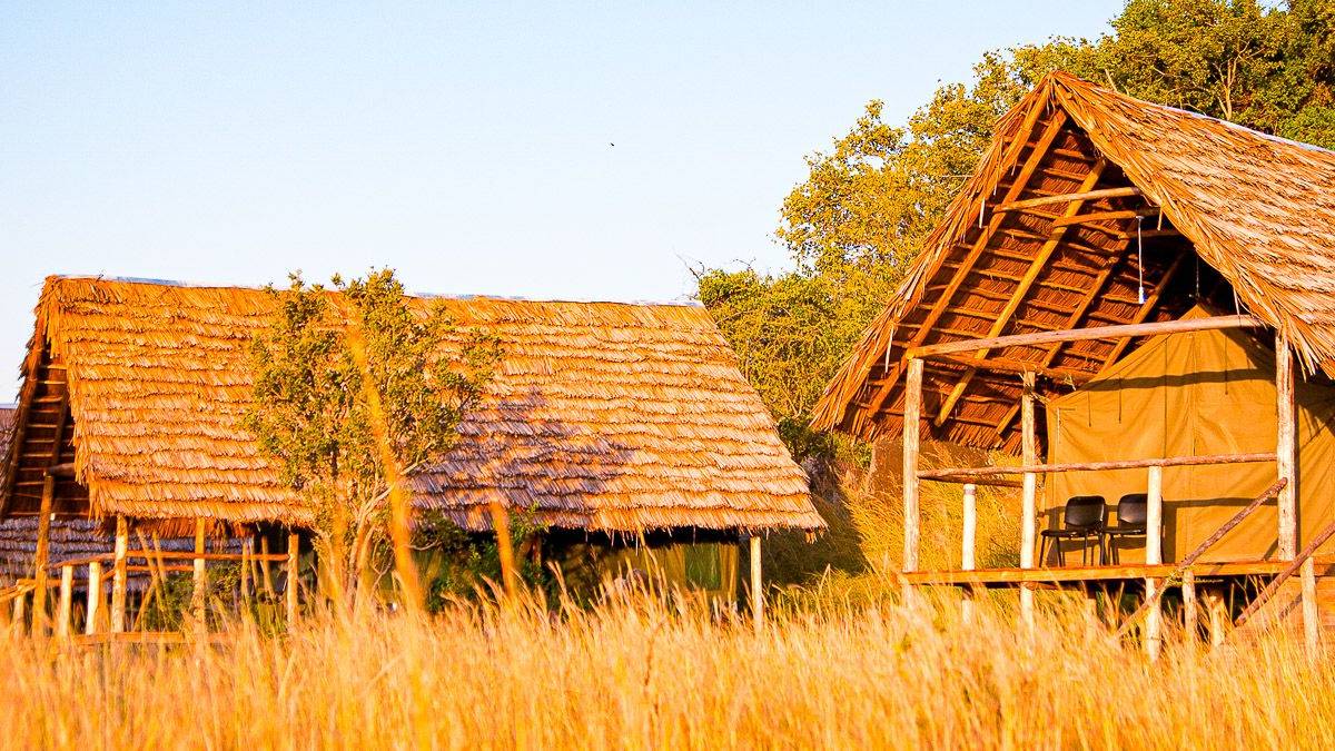 Ikoma Wildcamp |  Chris Werner, Ikoma Wildcamp / Chamleon